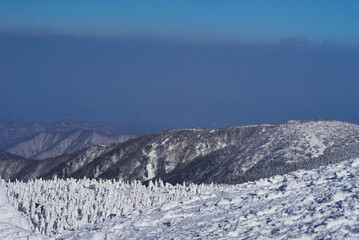 雪山の景色