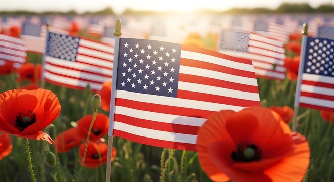 American flags and poppies in a field on a sunny day
