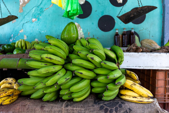 Taste of the Tropics: Traditional Venezuelan Coastal Cuisine