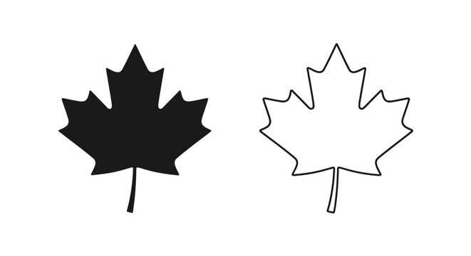 Canadian maple leaf vector icon design outline style Vector