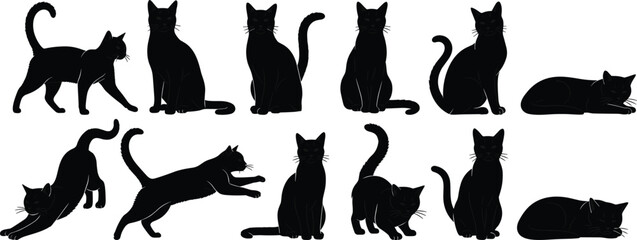 Black cat silhouettes collection, sitting, walking, stretching, lying down, playing, feline poses, vector illustration, animal shapes, artwork, flavector © MdMasud