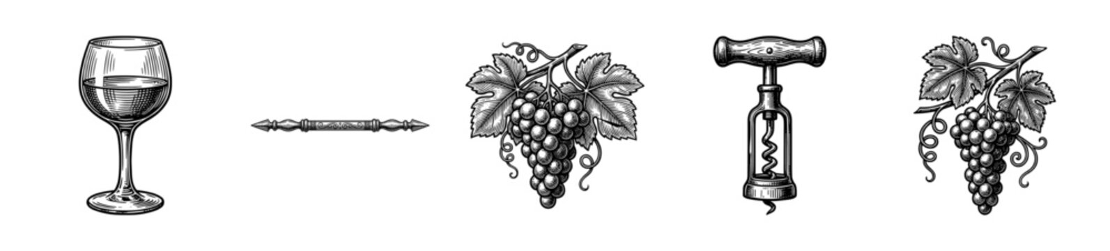 Vintage hand drawn wine collection featuring engraved glass, corkscrew, and grape bunches for viticulture and enology design.