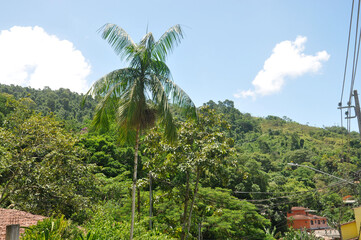 Fototapeta premium Grande beach - Paraty - rio de janeiro- Brazil 