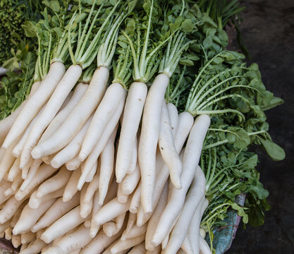 Bundle of White Radish with green tops