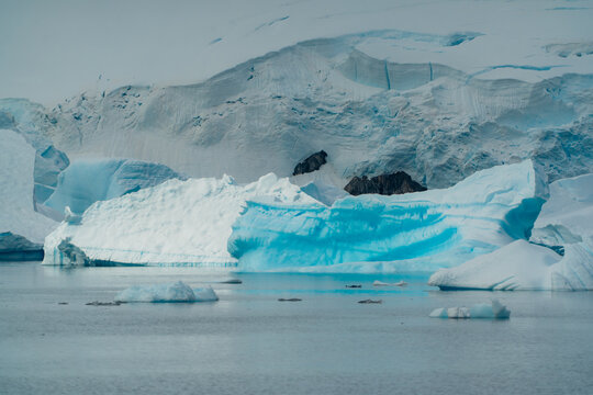 View of colossal icebergs reflecting an ethereal blue hue, contrasting with the stark white snow-covered mountains, Portal Point, Graham Land, Antarctica.
