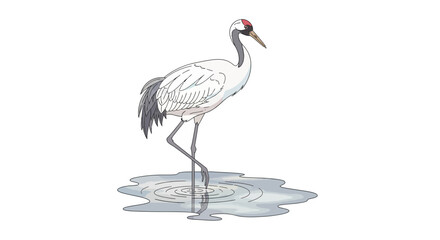 Fototapeta premium White Bird Standing in Water Illustration.