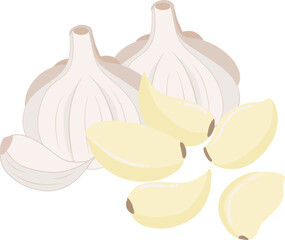 건강식 요리재료 노란색 뿌리열매인 마늘