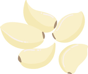 건강식 요리재료 노란색 뿌리열매인 마늘