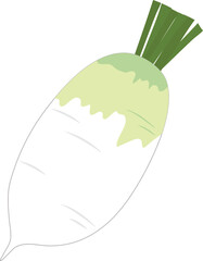 김장재료 하얀색 무