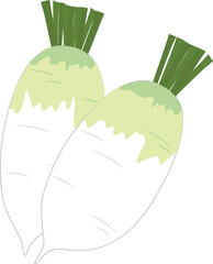 김장재료 하얀색 무