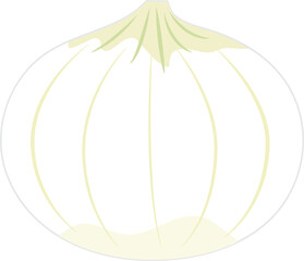 건강하고 신선한 음식재료인 양파