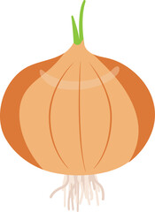 건강하고 신선한 음식재료인 양파