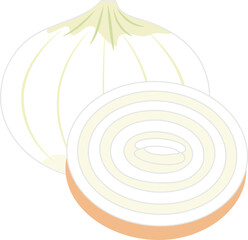 건강하고 신선한 음식재료인 양파