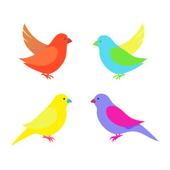 Obraz premium Set of colorful birds isolated on white background 