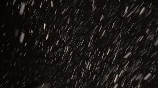 Natural snowfall with light to moderate variable winds on black background. Real snowflakes fall smoothly in 4K quality, isolated for easy keying, compositing and video overlays.