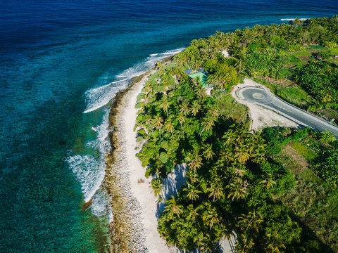 Maldives island ocean tropical beach with palms. Aerial view