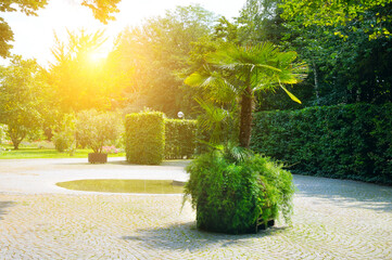 Peaceful public park with green hedges and sunlight at dawn