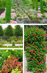 Stunning collage of vibrant flower gardens and vertical flower beds