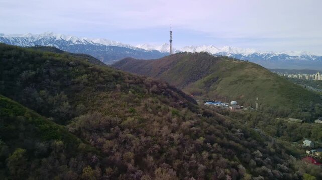 Aerial view of television broadcast tower standing on mountain hill surrounded by green forested slopes and snowy mountain peaks background.