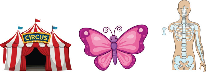 Circus tent butterfly and human skeleton anatomy cartoon educational illustration vector isolated design element collection set © MdMojnu