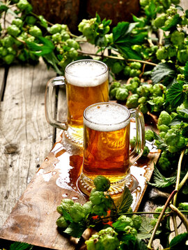 Two mugs of beer sit on a wooden surface surrounded by fresh hops. The scene evokes a rustic and natural setting, highlighting the ingredients used in brewing.