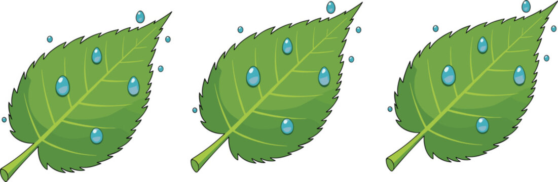 Green leaves with water drops fresh nature element cartoon botanical vector illustration isolated collection set
