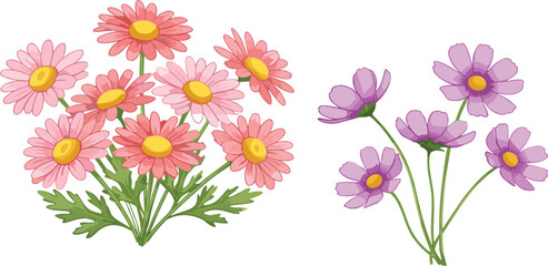 Pink and purple daisy flowers botanical floral cartoon vector illustration collection isolated decorative design set