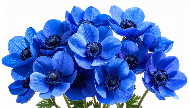 A vibrant cluster of blue flowers with green leaves on stems