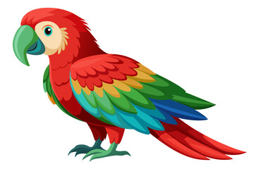 Fototapeta premium A colorful parrot standing on a white background, showcasing its vibrant feathers and distinctive beak.