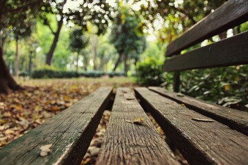 Fototapeta premium Close-up of a weathered wooden bench in a serene park setting