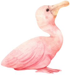 Fototapeta premium roseate spoonbill bird