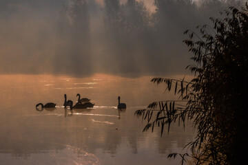 budzący się dzień © Stanisaw