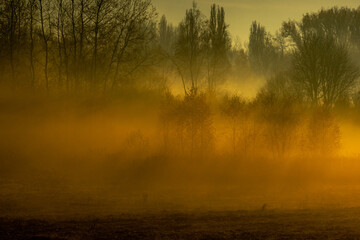 o poranku © Stanisaw