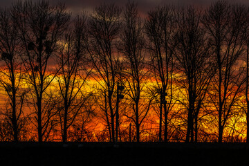 ognisty wiecz&oacute;r