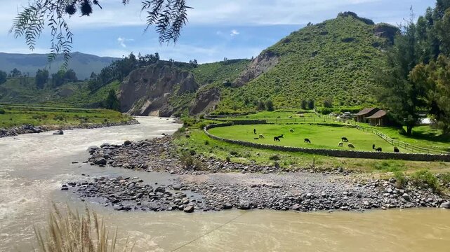 Colca Canyon, a river canyon one of the world's deepest, Arequipa, Peru