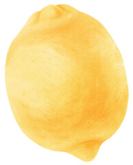 Lemon Fruit Watercolor illustration