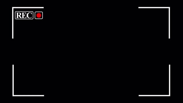 camera recording overlay animation, REC frame icon animation, Camera recording sign with transparent background 4K animation with alpha channel 
