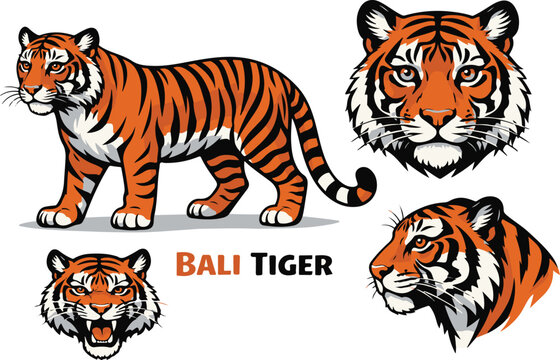 Powerful Bali Tiger Vector Illustration Set - Majestic Wild Cat in Full Body, Front Face, Roaring, and Profile Views. Perfect for Logos, Mascots & Wildlife Designs.