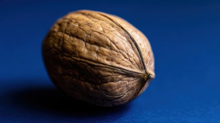 A close-up of a single walnut resting on a dark blue background, showcasing its intricate shell texture, Ideal for food blogs, health articles, or culinary-themed designs,