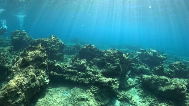 Sun rays, rocky underwater seascape and swimming scuba divers. Underwater video from scuba diving. Beautiful seascape with the divers, travel footage. 