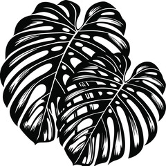 Gemini said

A high-resolution overhead shot of a diverse business team collaborating on a digital project with laptops and coffee on a minimalist wooden desk