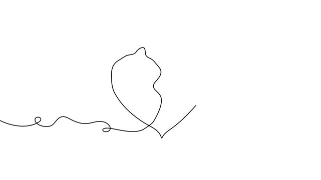 Line continuous cat outline vector drawing sketch one animal pet draw. Cat art two happy 2 couple doodle kitten white black background cute illustration friendship clipart silhouette contour back line