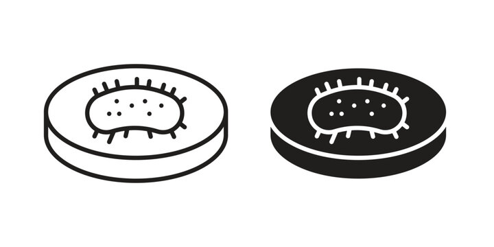 Sea cucumber icon. Vector linear icon collection. Vector EPS10