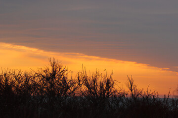 Fototapeta premium sunset over the field