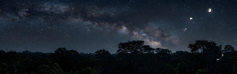 Milky Way and Crescent Moon Over Tropical Forest at Night