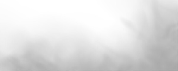 Naklejka premium Soft gray mist flows gently across the scene. Smooth gradients add dreamy elegance. Perfect overlay for illustrations PNG. 