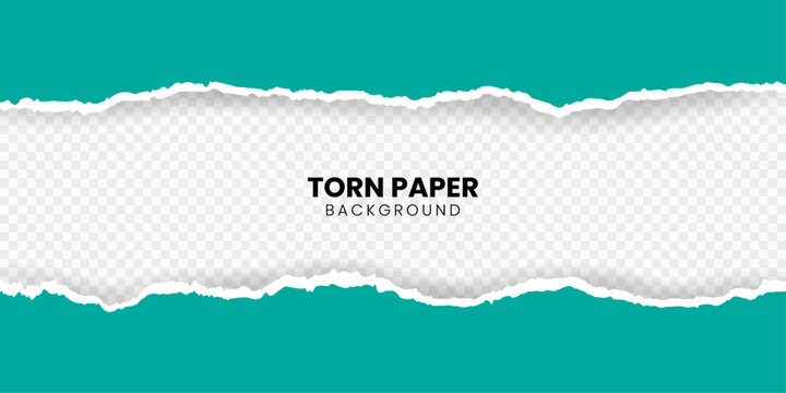 	
Ripped out torn paper sheet edge background. White color ripped torn paper banner isolated in transparent background. Vector illustration.