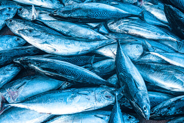 Obraz premium Fresh Tuna Fish at Seafood Market