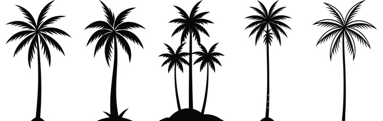 Fototapeta premium Tropical Palm Trees Silhouette Vector Illustration Design