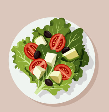 salad illustration